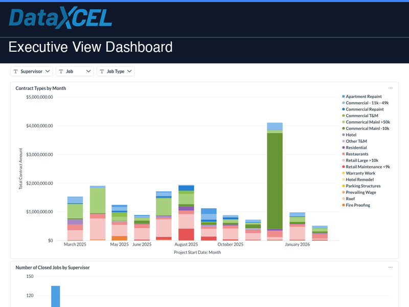 Executive View — DataXcel dashboard screenshot